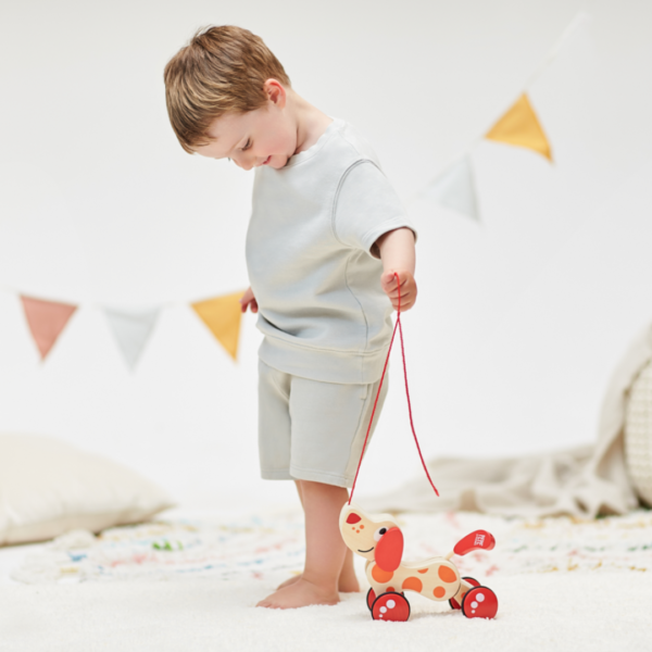 Hape-Chien Puppy à promener-produits-écologiques-paris-12e