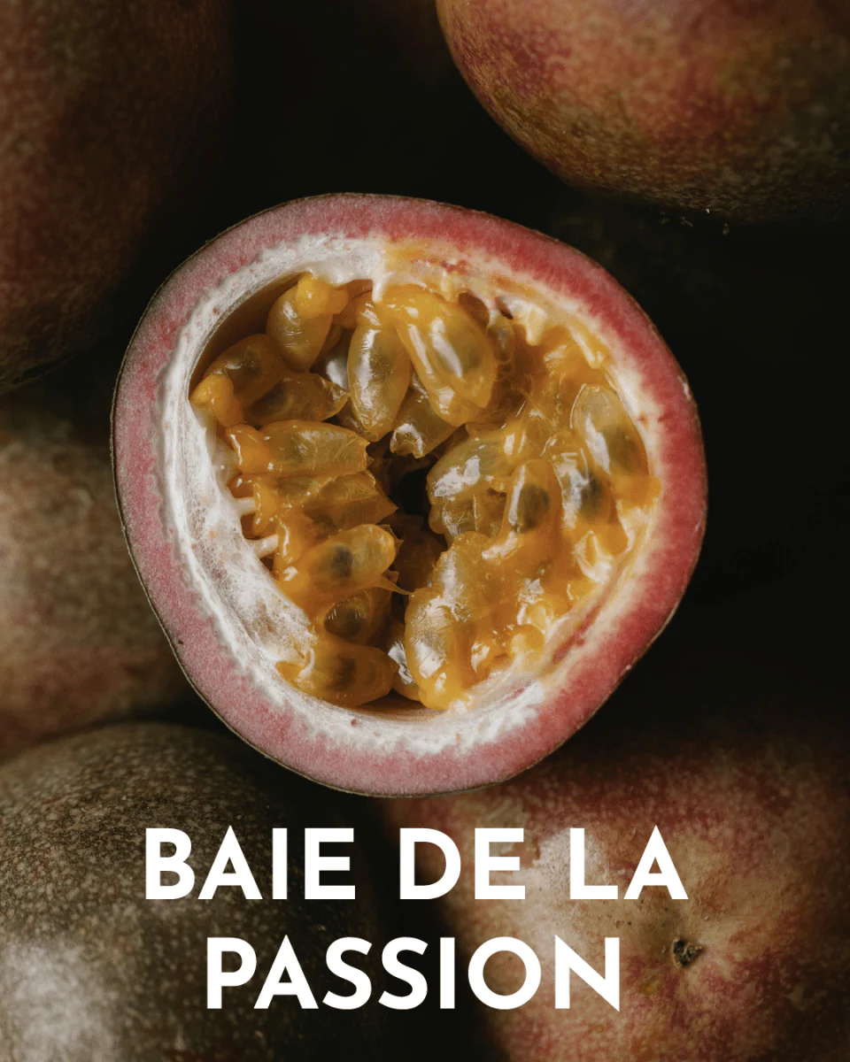 Infuse Me - Coffret Edition Spéciale Rhum Wild Mule – Image 8