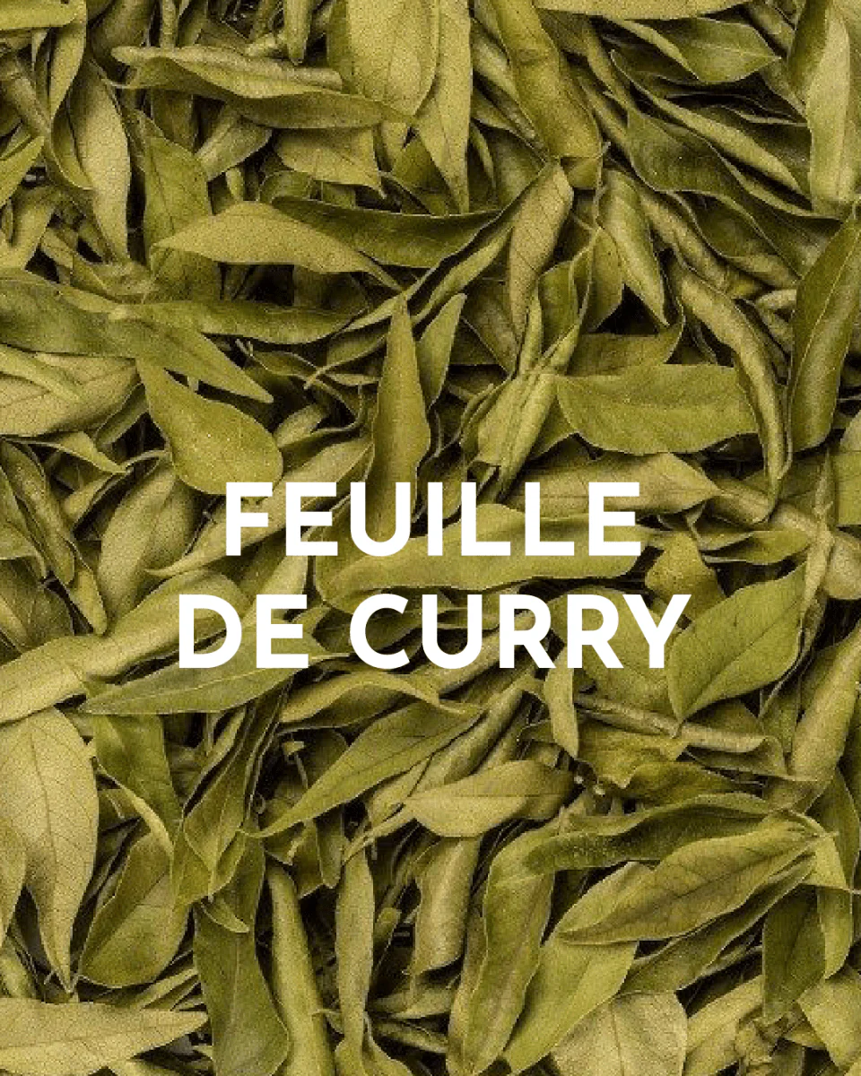 Infuse Me - Coffret Edition Spéciale Rhum Wild Mule – Image 7