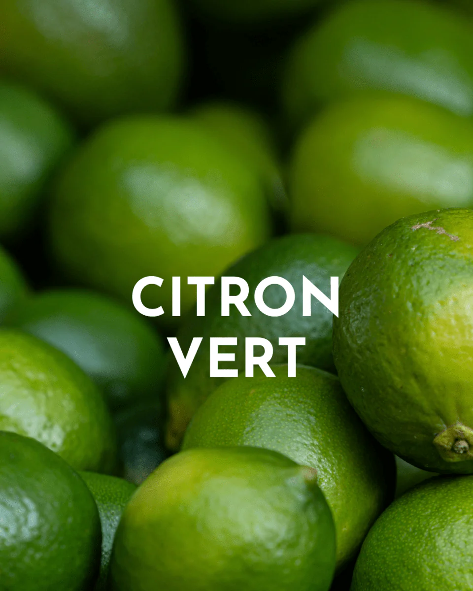 Infuse Me - Coffret Edition Spéciale Rhum Wild Mule – Image 5