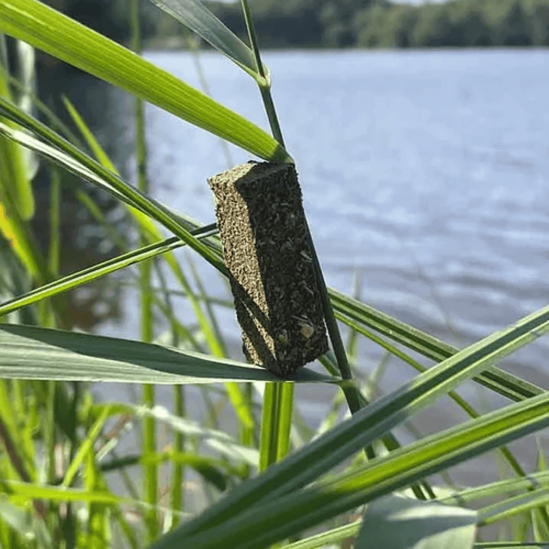 Totem Nature - L'ENCENS DU CERF – Image 2