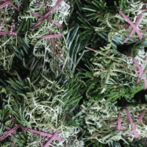 Totem Nature – Le bouquet du hérisson