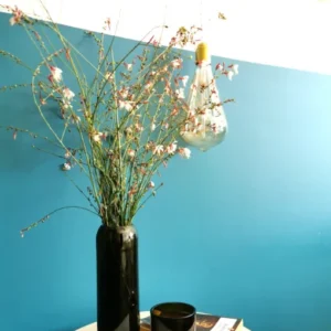 Plates et culotées - Vase droit - Magnum (Grand) - Coloris au choix