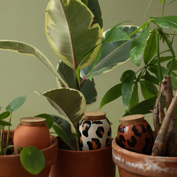 Pépin – Trio mini ollas – Coloris au choix – Image 9