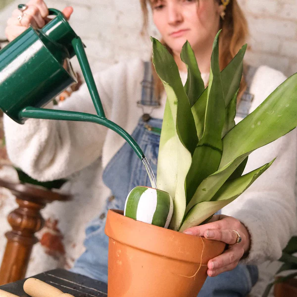 Pépin - Trio mini ollas - Coloris au choix – Image 8